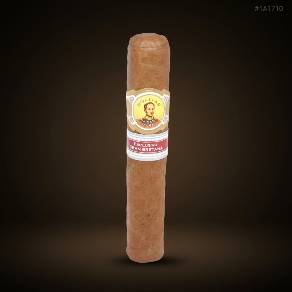 Bolívar Belgravia Cigar (Ex. Gran Bretaña 2015)