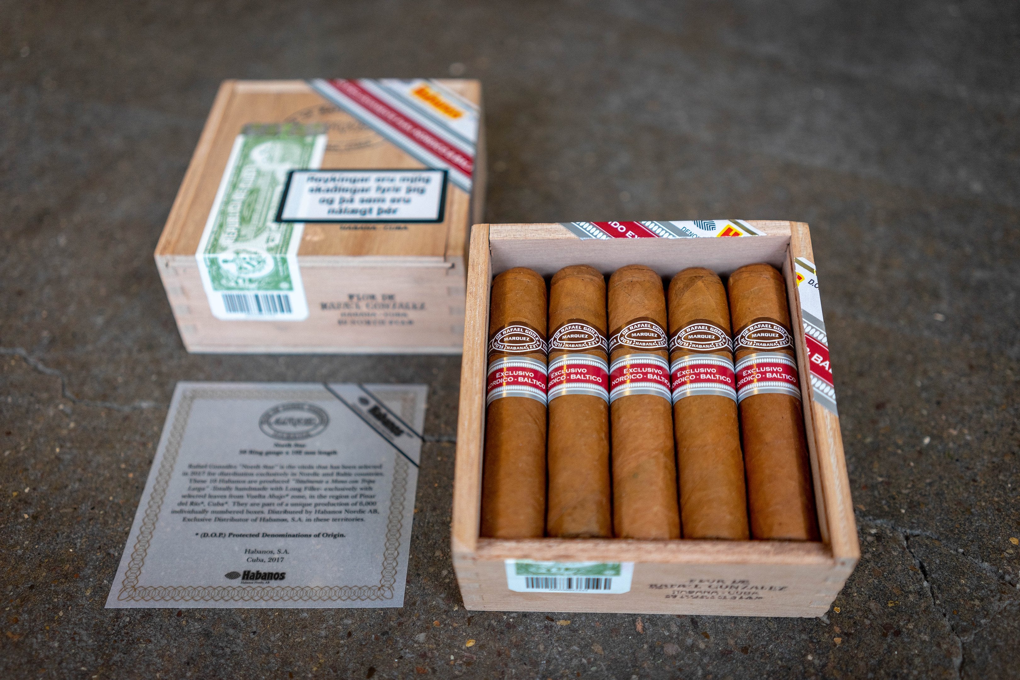 Rafael González North Star Cigar (Ex. Nordic and Baltic 2017)