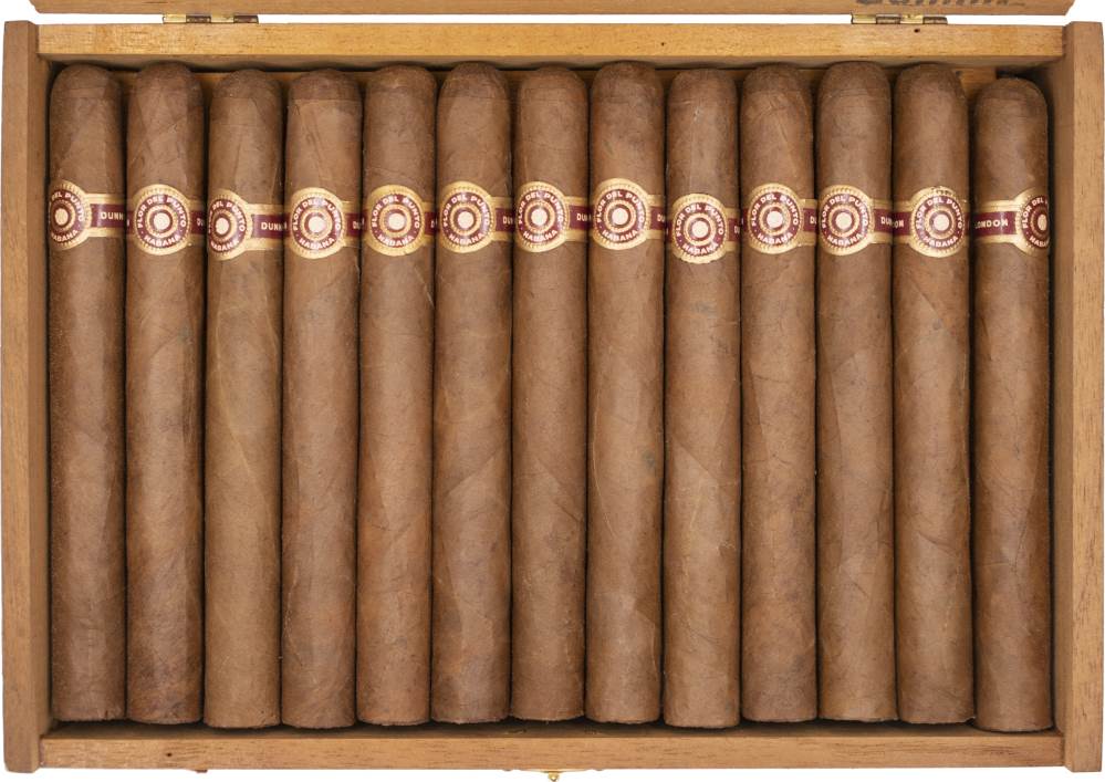 Flordelpunto · Seleccion No301